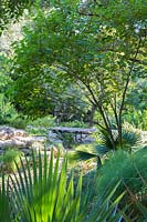 Vue sur les feuilles de palmier au jardin boisé avec rocaille et passerelle