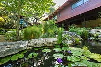 Vue sur l'étang avec Nymphaea en fleurs - Nénuphar - au jardin de rocaille et maison contemporaine au-delà