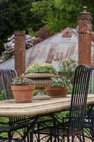 Table en béton coulé avec chaises en métal, plantes succulentes en pot comme décoration de table. Sedum en pots et la plus grande urne est plantée d'Echeveria