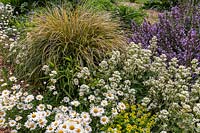 Détail d'un parterre de fleurs herbacées vivaces avec une plantation de fleurs blanches, jaunes et violettes et une herbe ornementale avec des feuilles à lanières jaunes et vertes