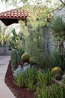 Parterre de fleurs d'aloès, d'agaves et de cactus dans un jardin privé du désert abritant une grande collection de cactus et de plantes succulentes, dont beaucoup sont des plantes de sauvetage de projets d'infrastructure de l'État.