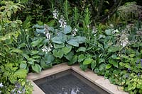 'The Wedgwood Garden 'au RHS Chatsworth Flower Show, marquant le 260e anniversaire de Wedgwood - inspiré par la vision de John Wedgwood, le fondateur de la RHS de créer un' espace chaleureux et aimable '.
