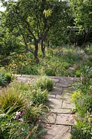 Découvre les marches menant à la salle de jardin du jardin du Dr James Hitchmough, Sheffield. Août.