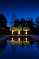Oliviers anciens illuminés fournissant un point focal à la fin de l'étang de baignade la nuit, dans le grand jardin de Surrey