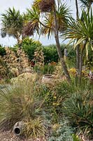 Stipa gigantea, Fascicularia bicolor, Gazania et Cordylines avec des urnes dans le jardin Beth Chatto