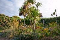 Le jardin Beth Chatto, y compris Cordyline, Coreopsis, Achillea, Helenium, Fascicularia bicolor et les graminées ornementales