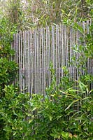Ceinture d'abri avec espacement Euonymus et clôture en bambou élaboré pour maximiser l'abri