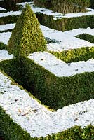 Neige sur un noeud jardin ponctué de Buxus panaché - Coffret - pyramides