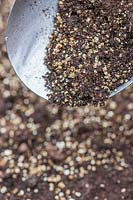 Utiliser une cuillère pour couvrir les graines nouvellement semées avec un mélange de compost et de vermiculite