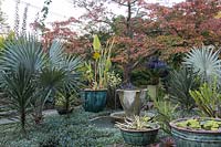 Teacup Garden at Chanticleer Gardens - bols d'eau, fontaine et potager plantés de feuillage tropical