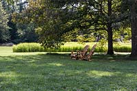 Paire de chaises Adirondacks peintes en motif animal situé sous l'arbre, grand parterre de riz Carolina Gold en arrière-plan