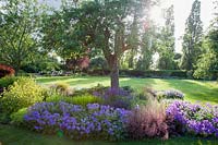 Parterre d'été avec Geranium magnificum 'Rosemoor', Salvia, Heuchera 'Villosa Brownies', Alchemilla mollis avec pelouse