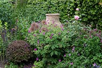 Immense urne immergée dans un parterre d'alliums, de roses, de géraniums rustiques, de pittosporum et de trifolium.