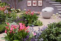 On the Edge, RHS Hampton Court Palace Flower Show 2017. Zantedeschia 'Pink Puppy', Echinacea 'White Swan' et Eryngium bourgatii 'Picos Amethyst' plantés le long d'un chemin gravillonné.