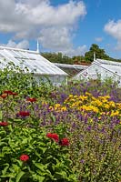 Parterre de fleurs de Zinnia, Consolida et Rudbeckia et serres victoriennes à West Dean Gardens, West Sussex
