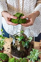 Planter un terrarium. Étape 13: décomposer la mousse de coussin en morceaux pour s'adapter aux plantes.