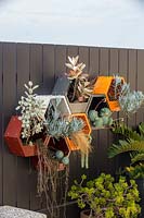 Pots hexagonaux muraux en métal peint, plantés d'une variété de plantes succulentes et d'herbes.