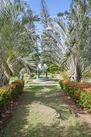 Vue sur temple dorique avec des haies de fleurs Ixora coccinea et Butia capitata syn. Cocos capitata - Jelly palmiers.