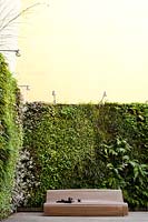 À l'arrière-plan, le mur vert est fait d'asperges splengeri, de polystichum polyblepharum, d'ophiopogon japonicus, de saxifraga sarmentosa, d'helleborus niger, d'alto odorata.