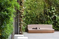 Vue sur jardin moderne, avec banc en bois contre mur végétal vivant.
