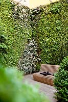 Vue sur jardin moderne, avec banc en bois contre mur végétal vivant.