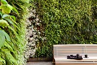 Vue sur le jardin moderne avec un mur vert vertical, une terrasse en bois et un grand banc en bois