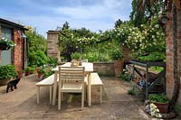 Vue sur le patio avec table et chaises peintes en crème, et la rose errante Rosa 'Alberic Barbier' entraînée le long de butées de corde épaisse.