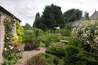 Rosa 'Gertrude Jekyll' maison d'escalade dans un jardin de chalet