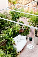 Petite terrasse carrelée vue de la maison, pergola en métal sur le coin salon avec des plantes en pot