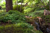 Le coin du jardin japonais avec des arbres, des rochers.