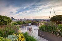 Vue le long du jardin sur le toit jusqu'au paysage urbain, aux grues et au ciel au-delà