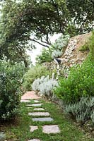 Parcours à travers un mélange de plantes de brousse méditerranéennes, dont l'olivier, la verveine, l'agapanthe, le rosamrin, le carex, l'achium, le tulbaghia.
