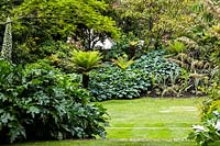 Parterre de fleurs printanières, y compris Dicksonia antartica, echium pininama, rheum palmatum, hosta 'big daddy '. Bourne garden. Glyndebourne. Uk