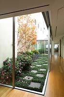 Terrasse fermée avec des pavés entre Ophiopogon japonicus 'Nanus', avec parterre d'arbustes et de vivaces plus Acer palmatum et Camellia sasanqua 'Fragrance Pink'