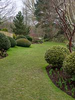 Des buissons topiaires en forme de globe et de dôme attirent l'œil le long de la pelouse et à travers le jardin