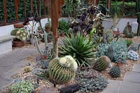 Maison aride avec parterre de gravier central de spécimens de cactus et plantes succulentes
