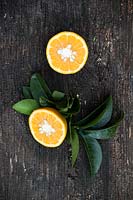 Citrus aurantium 'Riccio' syn. 'Crispifolia' - Orange amère - fruit unique coupé en deux avec du feuillage