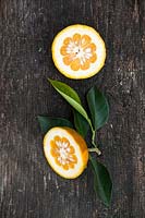 Citrus aurantium 'Cordifolia' syn. 'Cuoriforme' - Orange amère - fruit unique coupé en deux avec du feuillage