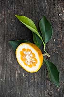 Citrus aurantium 'Cordifolia' syn. 'Cuoriforme' - Orange amère - un demi-fruit coupé avec des feuilles