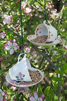 Mangeoires à oiseaux à base de tasses et soucoupes à thé en porcelaine suspendues dans un arbre entouré de fleurs