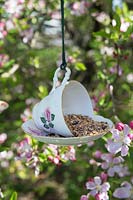 Mangeoire à oiseaux en porcelaine tasse à thé et soucoupe accroché dans un arbre entouré de fleurs