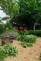 Un jardin de paillis de paille avec des dasies de bord de mer et Disoma.