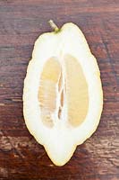 Citrus medica 'Rugoso' - Citron - coupé pour montrer une croûte épaisse