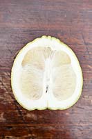 Citrus medica maxima - Citron - coupé pour montrer une croûte épaisse