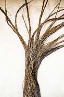 Salix - saules entrelacés et tissés pour faire un affichage sous la forme d'un arbre