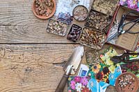 Diverses graines de fleurs et légumes conservées dans des boîtes avec des outils et des sachets de graines