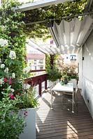 Vue le long de la terrasse jusqu'à la salle à manger ombragée, jardinière avec hortensia et jasmin grimpant