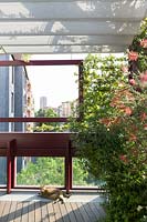 La vue sur la ville à travers le verre du balcon et la floraison de Callistemon rigidus, chat couché au soleil