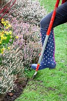 Utiliser un coupe-demi-lune pour redéfinir les bords de la pelouse au début du printemps