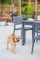 Table et chaises modernes installées sur un patio en porcelaine contextuelle avec un chien Puggle traversant un plan